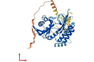 AlphaFold protein structure predicition of Human Recombinant PIP5KL1 Protein, UniprotID Q5T9C9