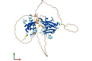AlphaFold protein structure predicition of Mouse Recombinant Dcp2 Protein, UniprotID Q9CYC6
