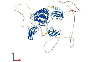 AlphaFold protein structure predicition of Mouse Recombinant Clip4 Protein, UniprotID Q8CI96