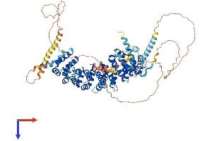 AlphaFold protein structure predicition of Mouse Recombinant Terb1 Protein, UniprotID Q8C0V1
