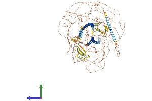 AlphaFold protein structure predicition of Mouse Recombinant Synm Protein, UniprotID Q70IV5