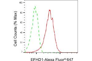Flow cytometric analysis of EFHD1 expression in HeLa cells using EFHD1 antibody (ABIN7798424), 1:1,000). (EFHD1 anticorps)
