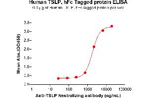 ELISA plate pre-coated by 5 μg/mL (100 μL/well) Human TSLP Protein, hFc Tag (ABIN7092793, ABIN7272398 and ABIN7272399) can bind Anti-TSLP Neutralizing antibody ABIN7478008 and ABIN7490983 in a linear range of 741-6667 ng/mL.