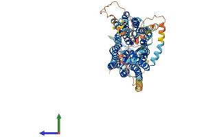 AlphaFold protein structure predicition of Mouse Recombinant Slco1c1 Protein, UniprotID Q9ERB5