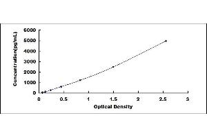 Typical standard curve (p53 Kit ELISA)