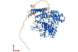 AlphaFold protein structure predicition of Human Recombinant GAD1 Protein, UniprotID Q99259