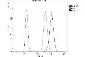Flow Cytometry analysis of HL-60 cells using anti-GRSF1 antibody (ABIN7599803). (GRSF1 anticorps  (AA 119-405))