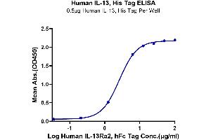 ELISA image for Interleukin 13 (IL13) (AA 21-132) protein (His-Avi Tag) (ABIN7274900)