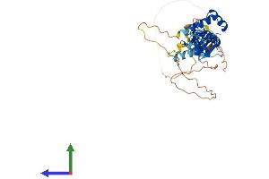 AlphaFold protein structure predicition of Mouse Recombinant Lhx6 Protein, UniprotID Q9R1R0