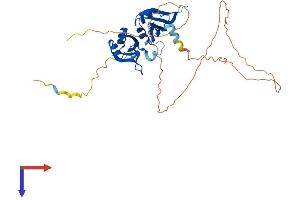 AlphaFold protein structure predicition of Human Recombinant HNRNPA3 Protein, UniprotID P51991