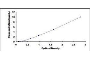 ELISA image for Transient Receptor Potential Cation Channel, Subfamily M, Member 7 (TRPM7) ELISA Kit (ABIN428805)