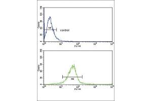 Flow Cytometry (FACS) image for anti-Glutathione S-Transferase mu 1 (GSTM1) antibody (ABIN3002864) (GSTM1 anticorps)