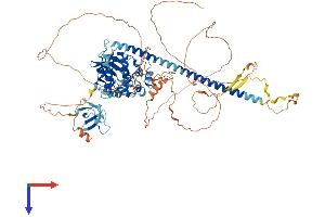 AlphaFold protein structure predicition of Human Recombinant MAP3K11 Protein, UniprotID Q16584
