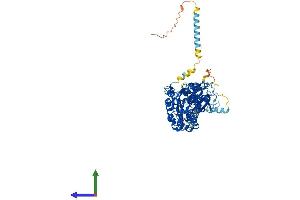AlphaFold protein structure predicition of Human Recombinant ENTPD7 Protein, UniprotID Q9NQZ7