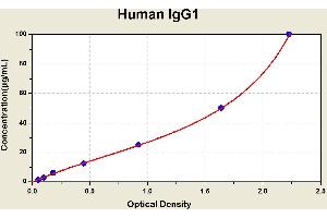 Diagramm of the ELISA kit to detect Human 1 gG1with the optical density on the x-axis and the concentration on the y-axis. (IgG1 Kit ELISA)