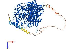 AlphaFold protein structure predicition of Human Recombinant ASAH2 Protein, UniprotID Q9NR71