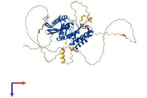 AlphaFold protein structure predicition of Mouse Recombinant Pip5k1b Protein, UniprotID P70181