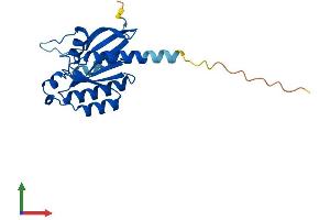 AlphaFold protein structure predicition of Mouse Recombinant Rab24 Protein, UniprotID P35290