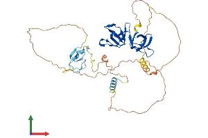 AlphaFold protein structure predicition of Mouse Recombinant Stac Protein, UniprotID P97306