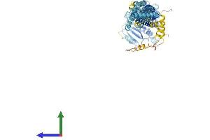 AlphaFold protein structure predicition of Mouse Recombinant Mfn1 Protein, UniprotID Q811U4