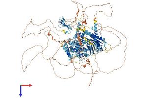 AlphaFold protein structure predicition of Mouse Recombinant Rad54l2 Protein, UniprotID Q99NG0