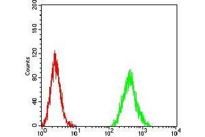 Flow cytometric analysis of MCF-7 cells using CCND1 mouse mAb (green) and negative control (red).