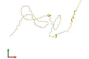 AlphaFold protein structure predicition of Human Recombinant GCSAM Protein, UniprotID Q8N6F7