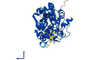 AlphaFold protein structure predicition of Mouse Recombinant Srr Protein, UniprotID Q9QZX7