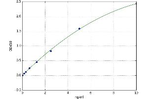 Fibroblast Growth Factor 10 (FGF10) ELISA Kit