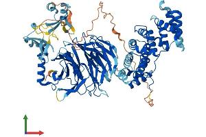 AlphaFold protein structure predicition of Human Recombinant PLAA Protein, UniprotID Q9Y263