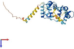 AlphaFold protein structure predicition of Human Recombinant KCNIP1 Protein, UniprotID Q9NZI2