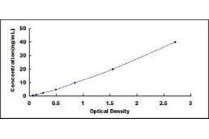 Typical standard curve (PRO-ANP Kit ELISA)
