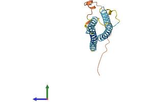 AlphaFold protein structure predicition of Human Recombinant CMTM7 Protein, UniprotID Q96FZ5