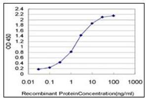 ELISA image for anti-Structural Maintenance of Chromosomes 1A (SMC1A) antibody (ABIN781888)