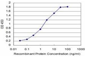 Detection limit for recombinant GST tagged SOX8 is approximately 0. (SOX8 anticorps  (AA 102-210))