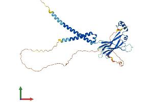 AlphaFold protein structure predicition of Mouse Recombinant Bscl2 Protein, UniprotID Q9Z2E9