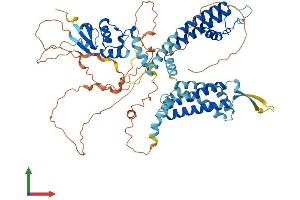 AlphaFold protein structure predicition of Mouse Recombinant Kcnc2 Protein, UniprotID Q14B80