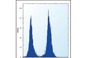 SLC16A10 Antibody (C-term) (ABIN657159 and ABIN2846293) flow cytometric analysis of K562 cells (right histogram) compared to a negative control (left histogram).