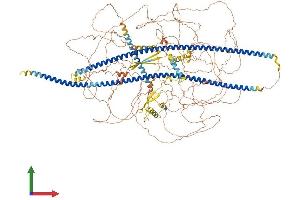 AlphaFold protein structure predicition of Mouse Recombinant Synm Protein, UniprotID Q70IV5