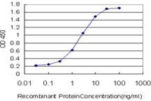 Detection limit for recombinant GST tagged EPHB3 is approximately 0. (EPH Receptor B3 anticorps  (AA 899-997))