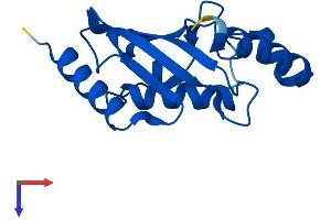 AlphaFold protein structure predicition of Human Recombinant UBE2A Protein, UniprotID P49459