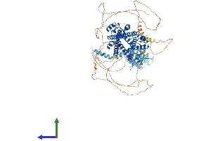 AlphaFold protein structure predicition of Human Recombinant PRPF40A Protein, UniprotID O75400