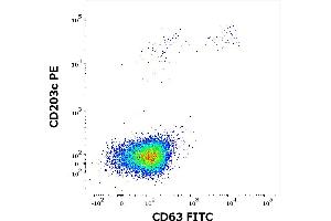 Flow cytometry dot-plot staining pattern of rCan f 1 recombinant allergen stimulated human peripheral whole blood lymphocytes and basophils of a proven allergic donor stained using anti-human CD63 (MEM-259) FITC and anti-human CD203c (NP4D6) PE antibodies . (Can f 1 (Canis Familiaris) Protéine)