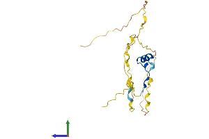 AlphaFold protein structure predicition of Human Recombinant CITED4 Protein, UniprotID Q96RK1