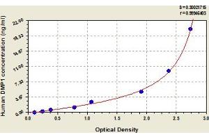 Typical Standard Curve (DMP1 Kit ELISA)