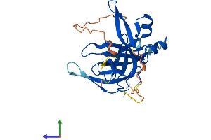 AlphaFold protein structure predicition of Mouse Recombinant Spin1 Protein, UniprotID Q61142
