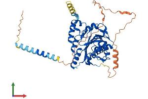 AlphaFold protein structure predicition of Human Recombinant B3GALT2 Protein, UniprotID O43825