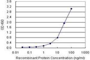 Sandwich ELISA detection sensitivity ranging from 0. (KIT (Humain) Matched Antibody Pair)