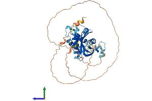 AlphaFold protein structure predicition of Human Recombinant DCP2 Protein, UniprotID Q8IU60