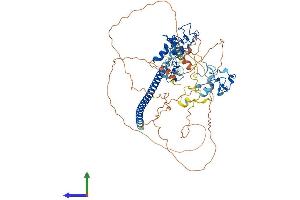 AlphaFold protein structure predicition of Human Recombinant UNKL Protein, UniprotID Q9H9P5